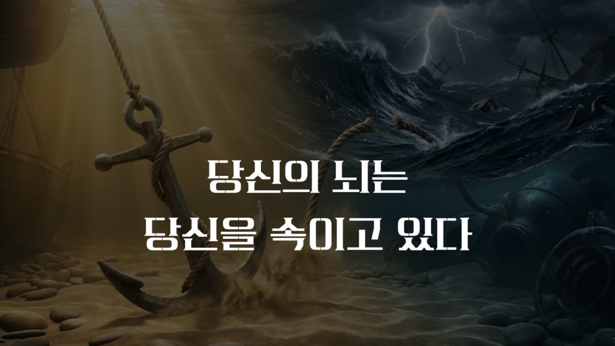 확증 편향